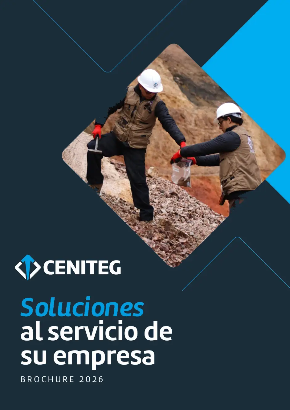 Institucional